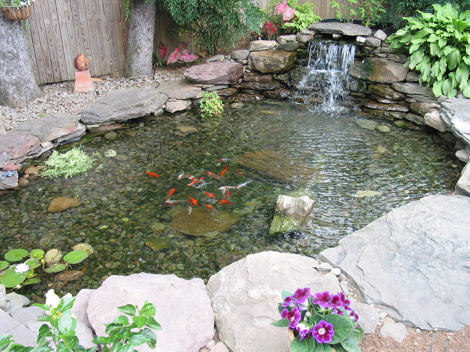 Water Garden