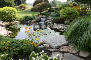 Honeysuckle Nursery Water Features Enhance Outdoor Space