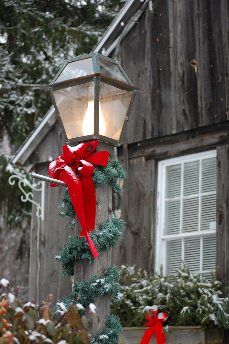 Honeysuckle Nursery & Design Winter Landscape Lighting